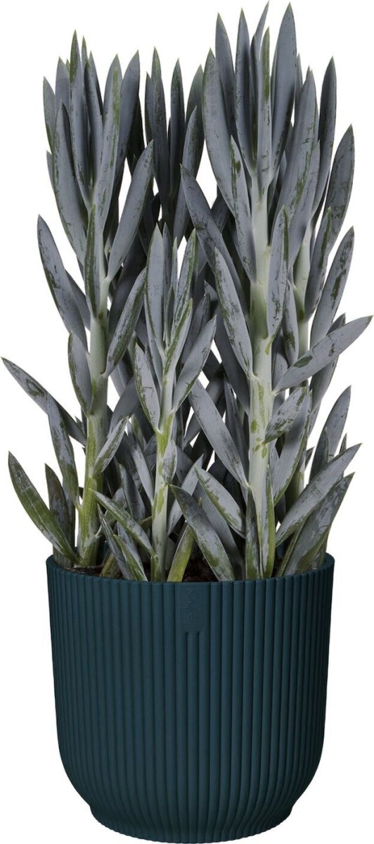 Elho Vibes blomkruka, 30 cm, Deep Blue