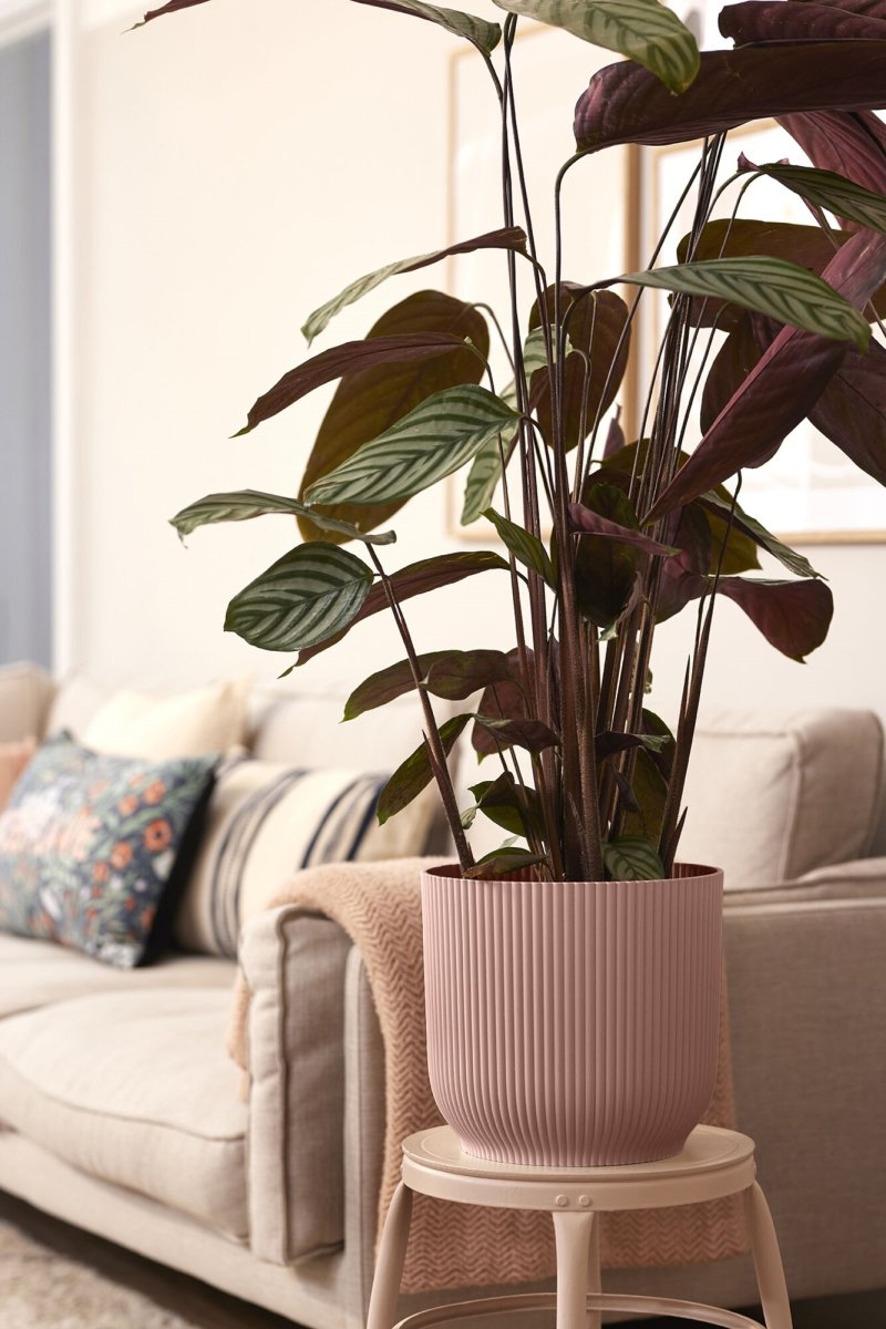 Elho Vibes Blomkruka med hjul, 35 cm, rosa