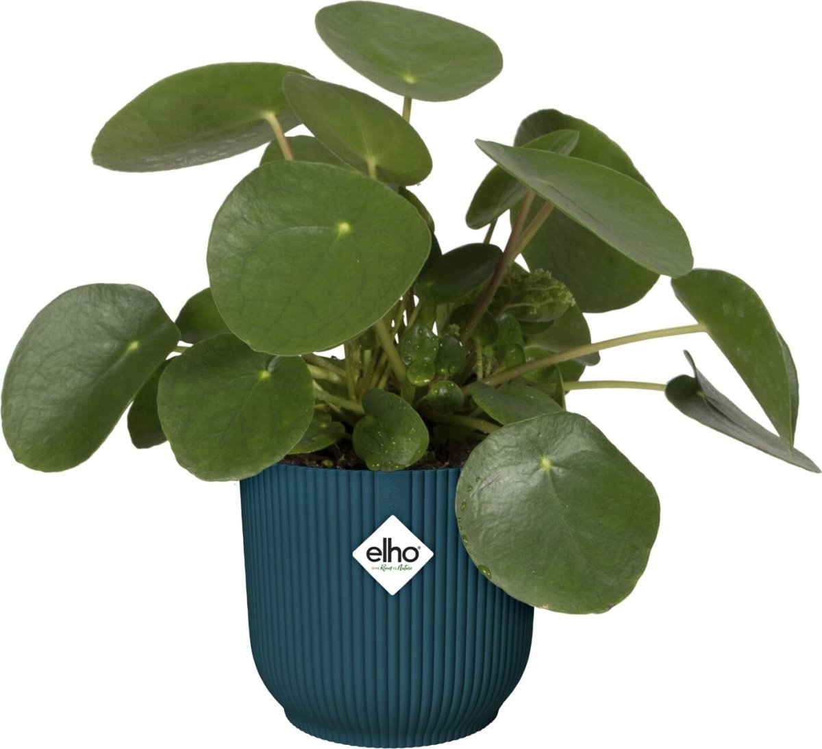 Elho Vibes Blomkruka med hjul, 35 cm, Deep Blue