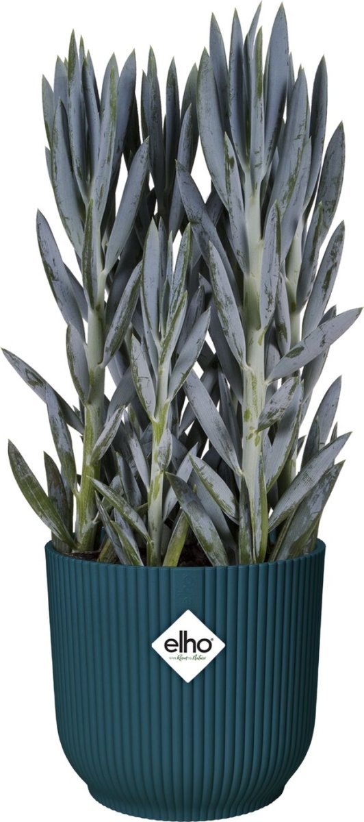 Elho Vibes Blomkruka med hjul, 35 cm, Deep Blue