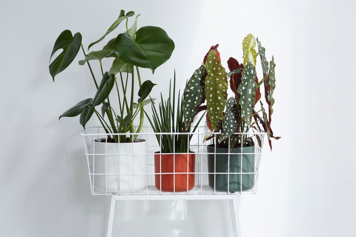 Elho B.for Soft Blomsterkruka, 18 cm, white