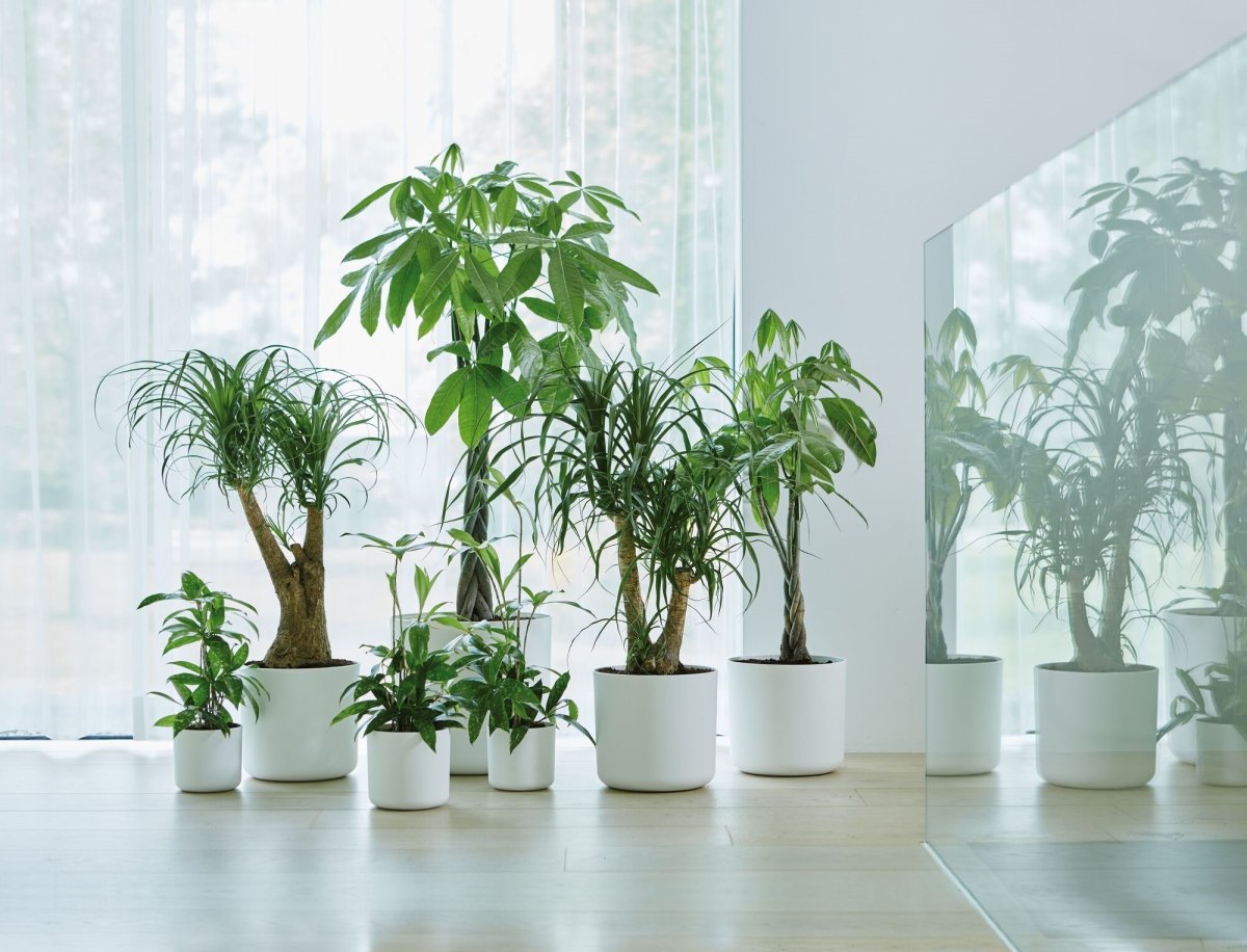 Elho B.for Soft Blomsterkruka, 18 cm, white