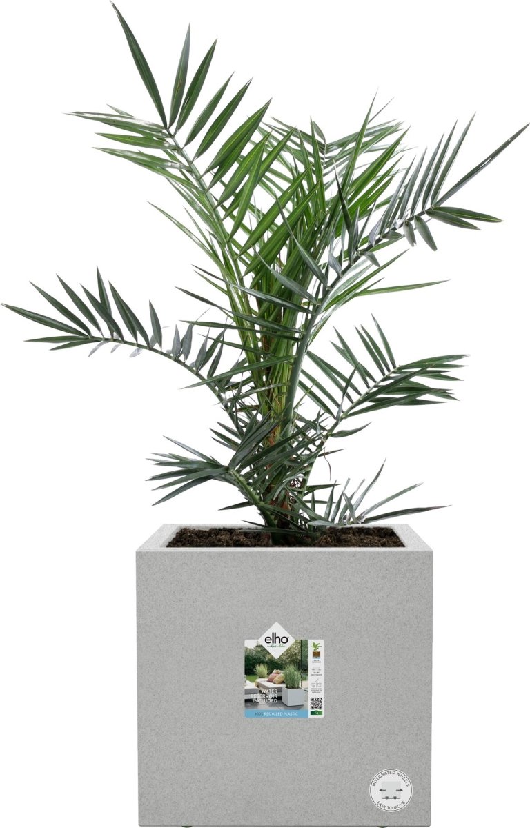 Elho Vivo Next Blomkruka, 30x30cm, Concrete