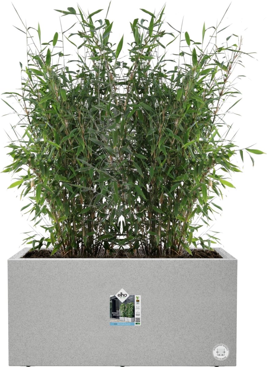Elho Vivo Next Blomkruka, 80x39 cm, Concrete