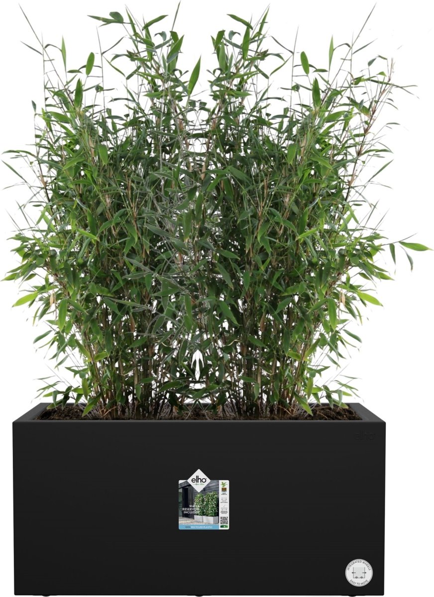 Elho Vivo Next Blomkruka, 80x39 cm, svart