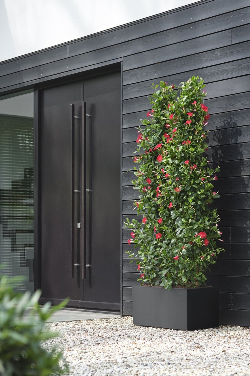Elho Vivo Next Blomkruka, 80x39 cm, svart