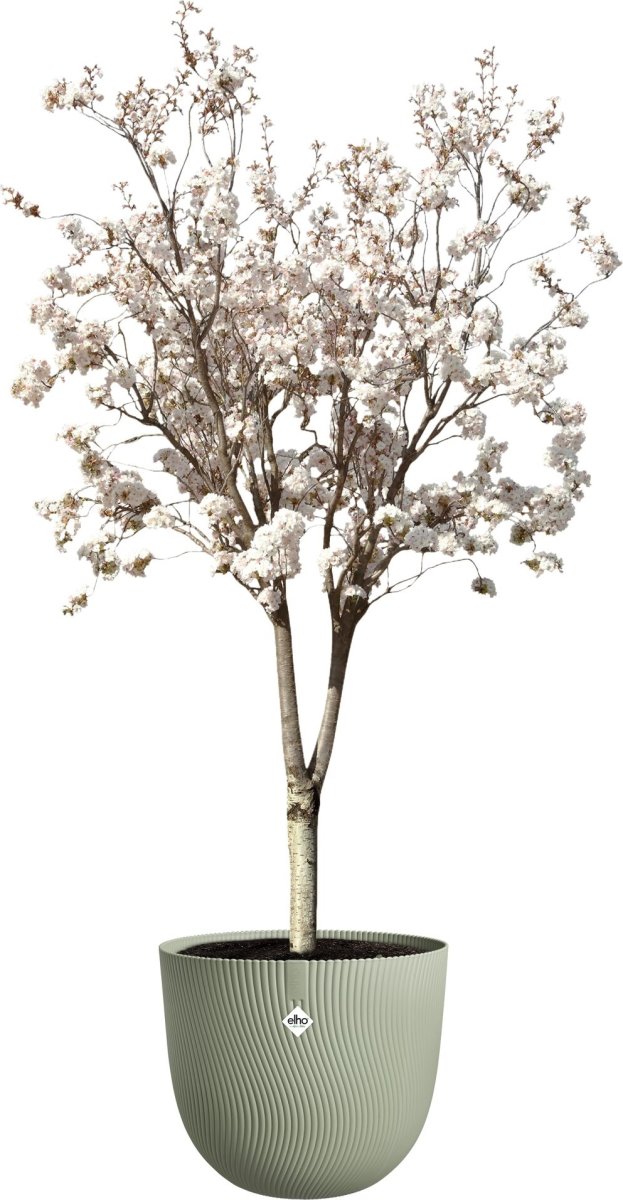 Elho Sereh Blomkruka, 47 cm, Nordic Green