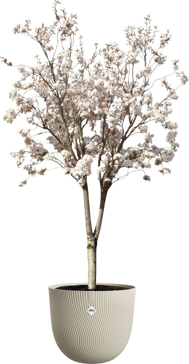 Elho Sereh Blomkruka, 47 cm, svampbeige
