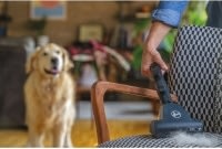 Hoover H-ENERGY 500 - Dammsugare