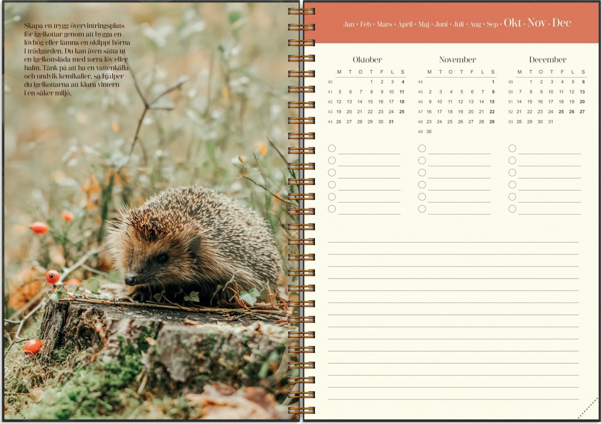 Burde 2026 Kalender, Lantdrömmar