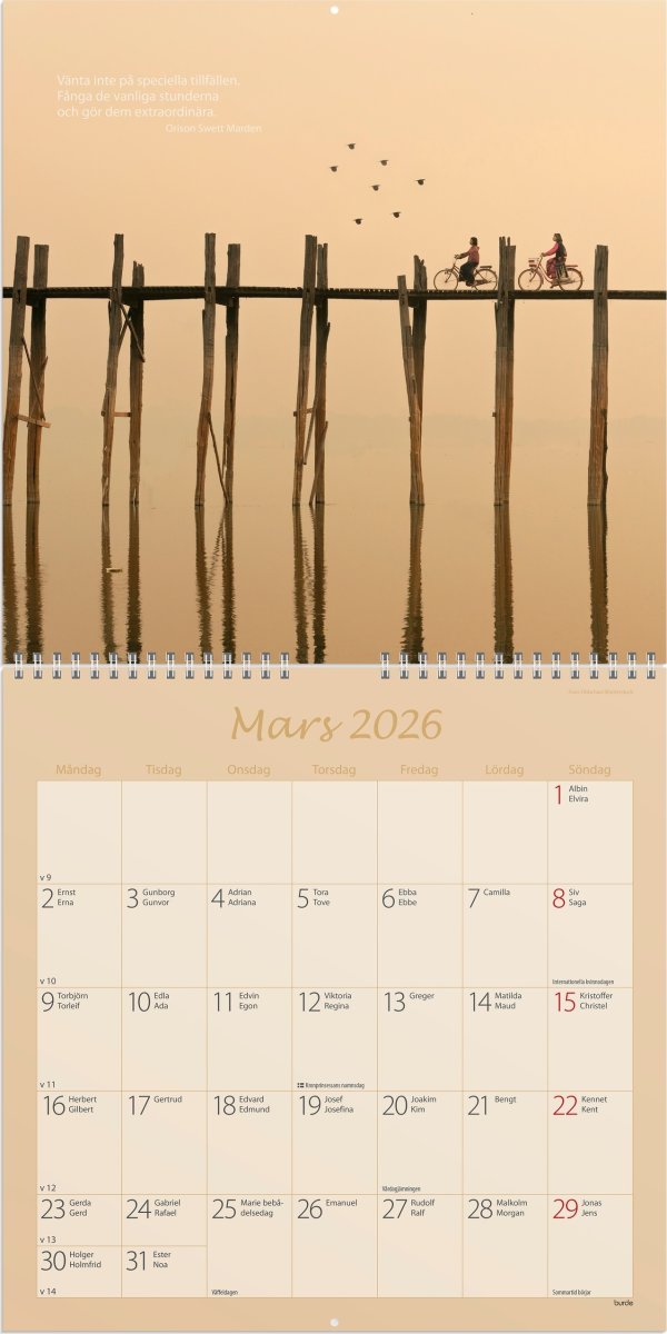 Burde 2026 Väggkalender, Carpe Diem