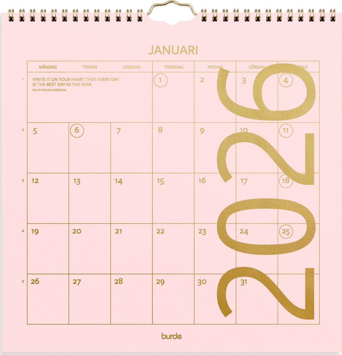 Burde 2026 Väggkalender, Color