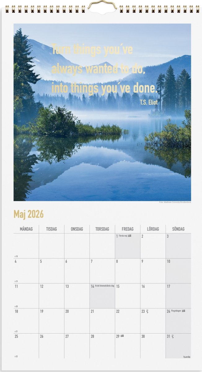 Burde 2026 Väggkalender, Dream &amp; Do
