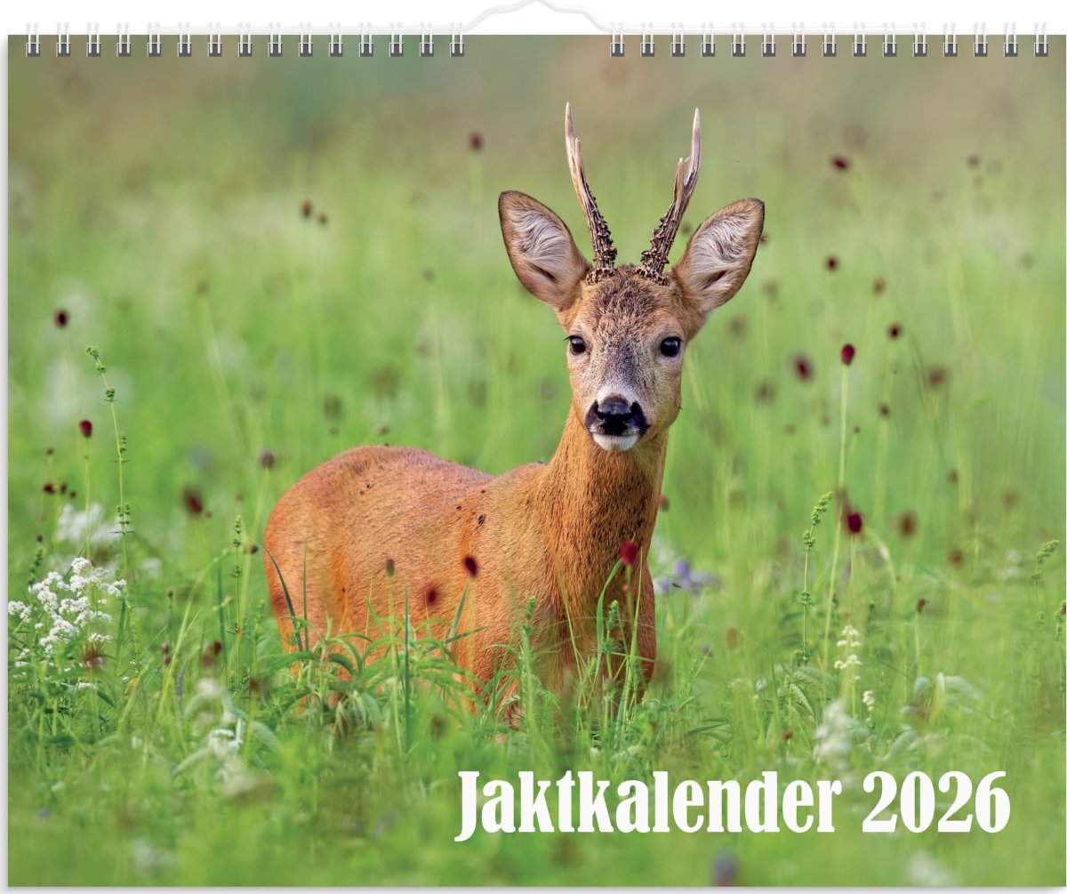 Burde 2026 Väggkalender, Jaktkalender