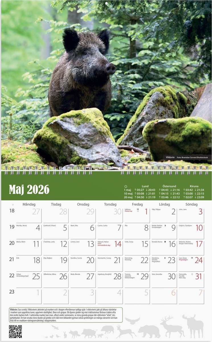 Burde 2026 Väggkalender, Jaktkalender