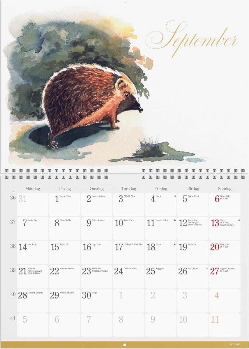Burde 2026 Väggkalender, Naturalmanacka