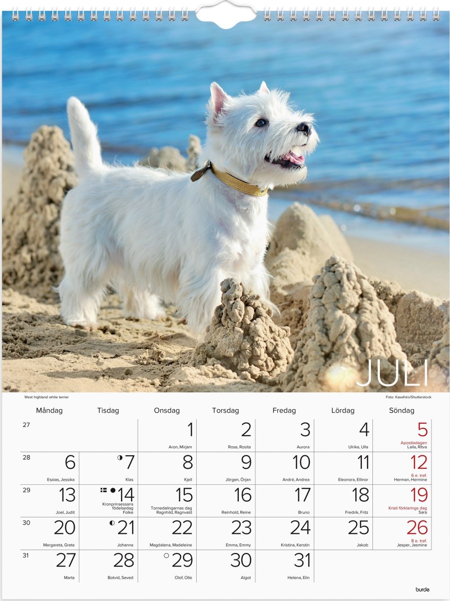 Burde 2026 Väggkalender, Stora Hundkalendern