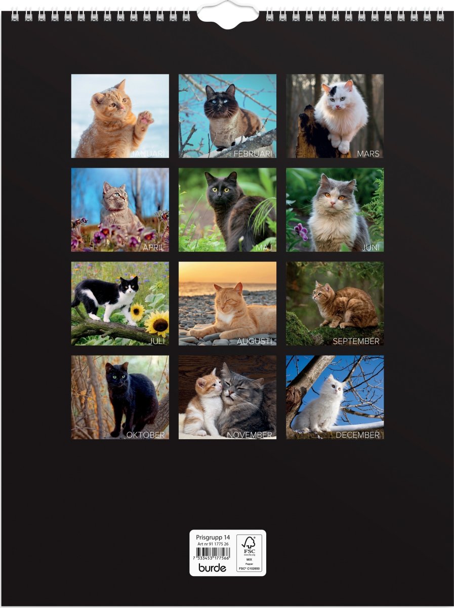 Burde 2026 Väggkalender, Stora Kattkalendern