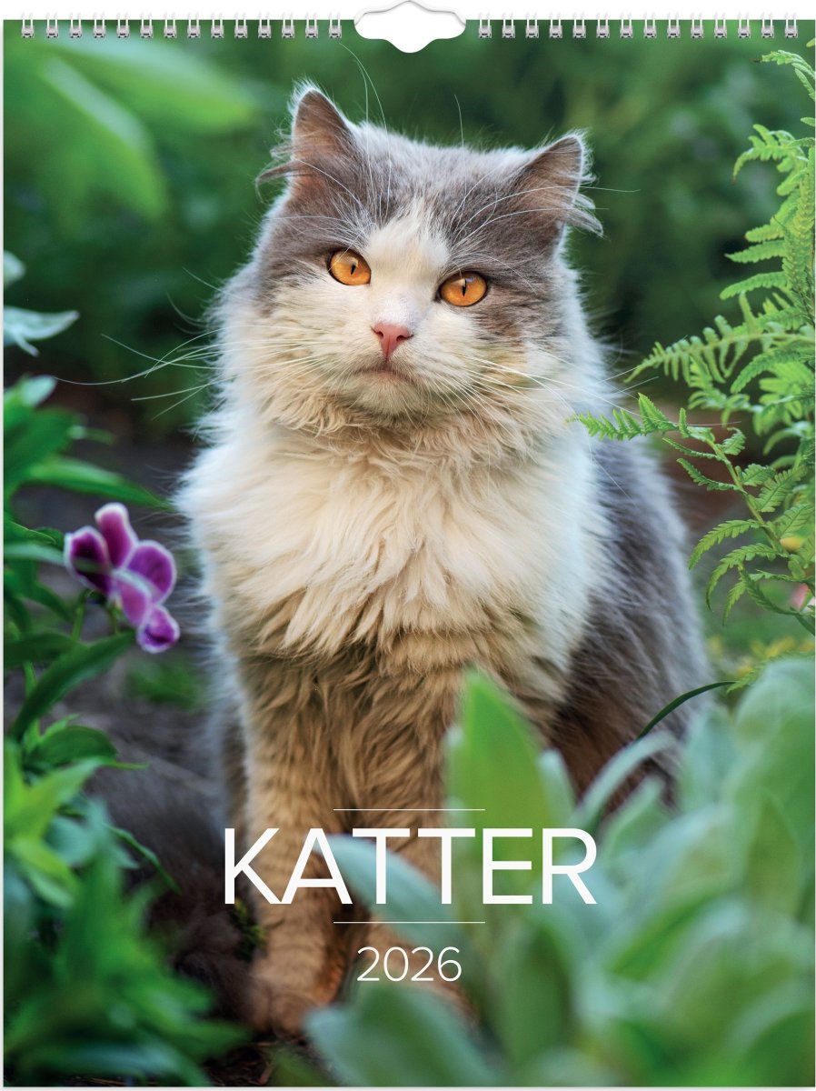 Burde 2026 Väggkalender, Stora Kattkalendern
