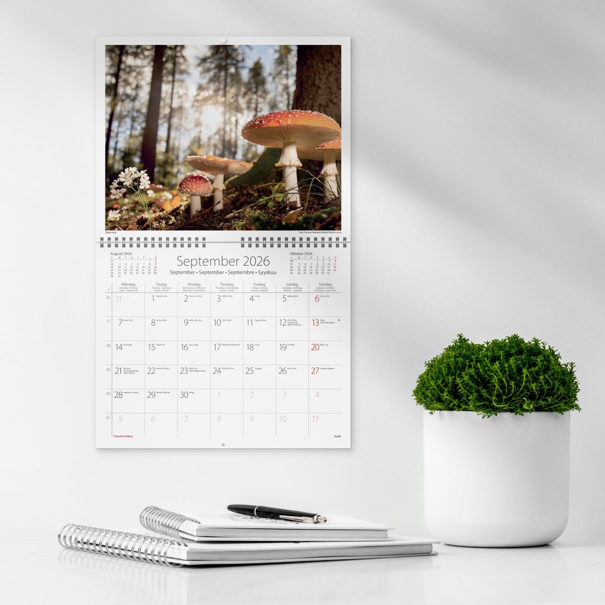 Burde 2026 Väggkalender, Vår vackra skog