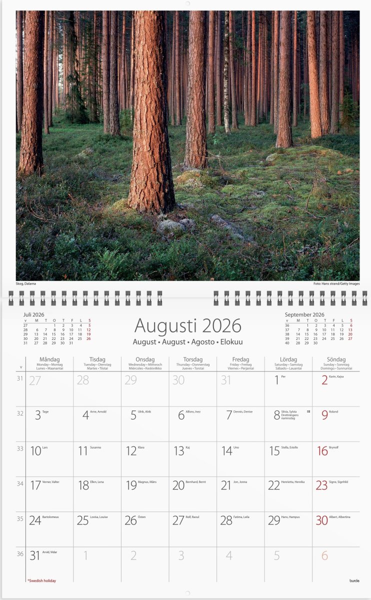 Burde 2026 Väggkalender, Vår vackra skog