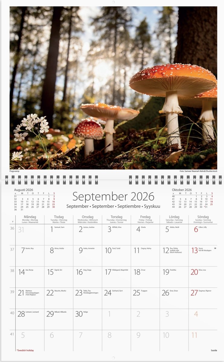 Burde 2026 Väggkalender, Vår vackra skog