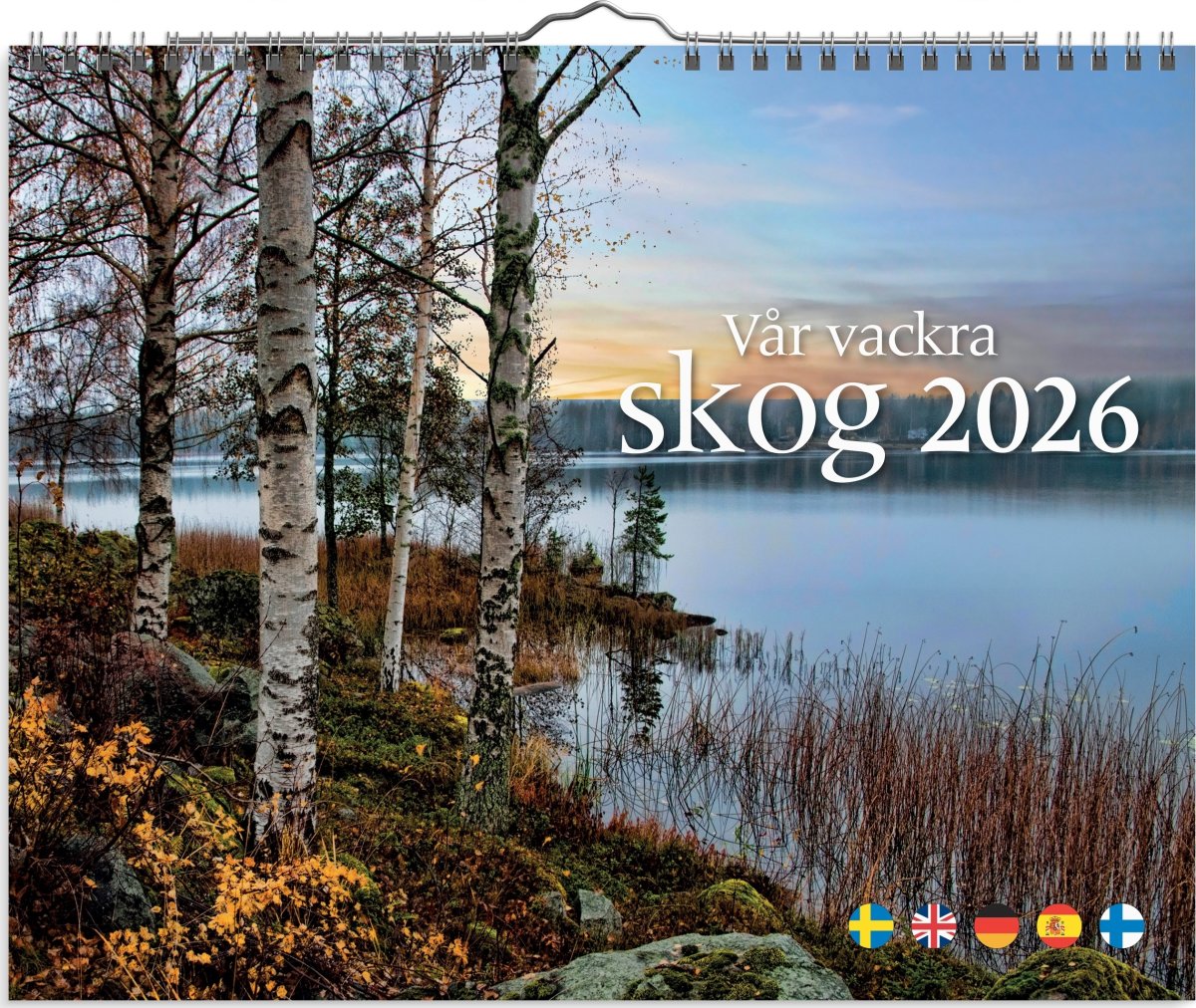 Burde 2026 Väggkalender, Vår vackra skog