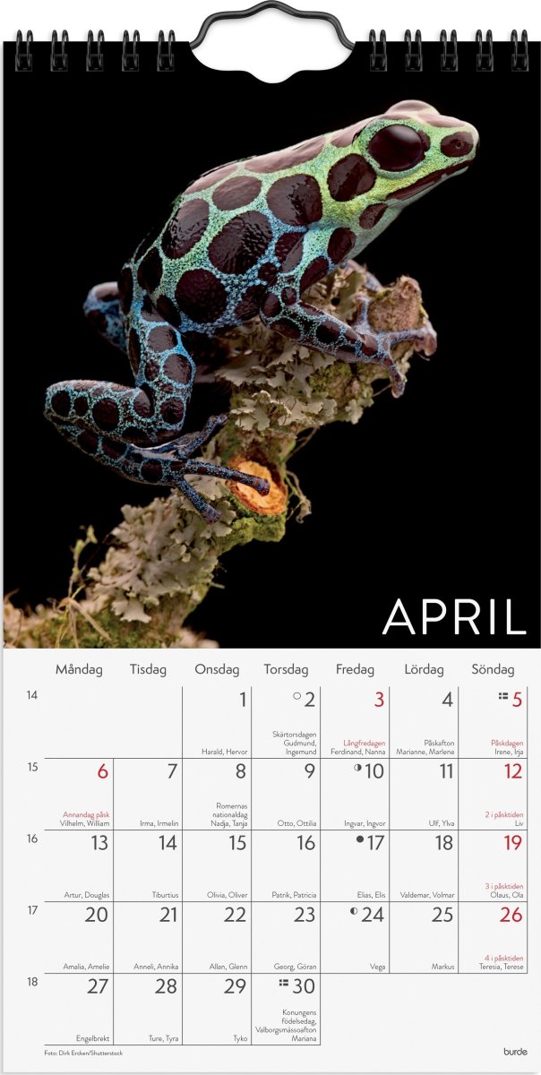 Burde 2026 Väggkalender. Wild Animals