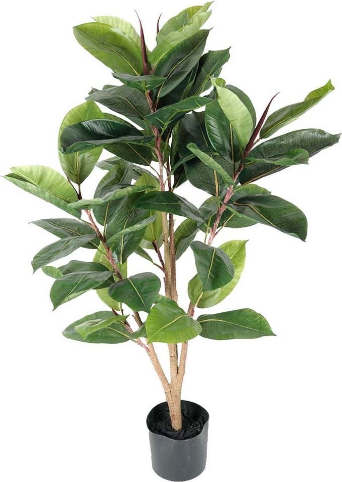 Gummiträd H 90 cm
