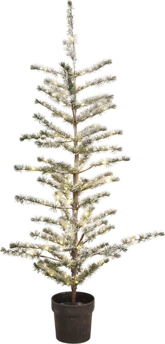 Sirius Alfred Trä, inkl. LED-ljus, H. 120 cm