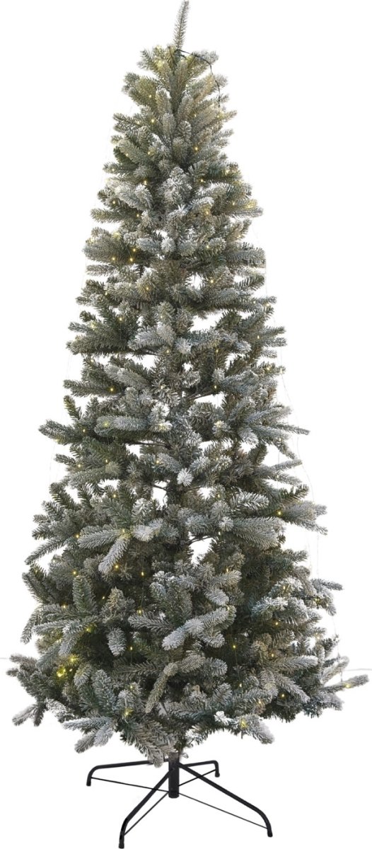 Sirius Elias Julgran, inkl. LED-ljus, H. 240 cm