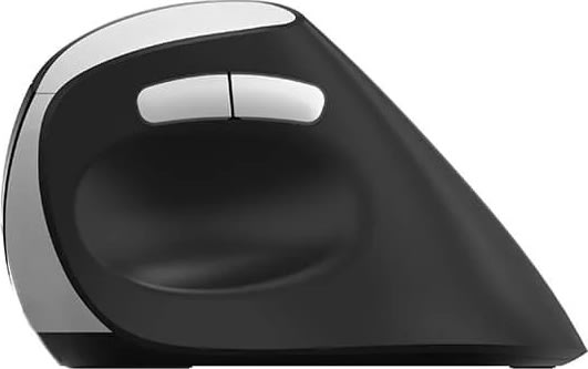 RAPOO Mus EV250, 2,4 GHz, trådlös, Optisk svart
