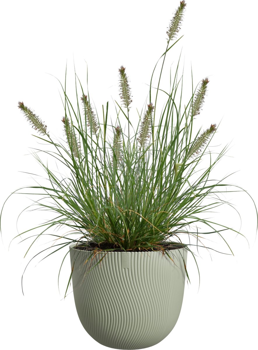 Elho Sereh Blomkruka, 25 cm, nordic green