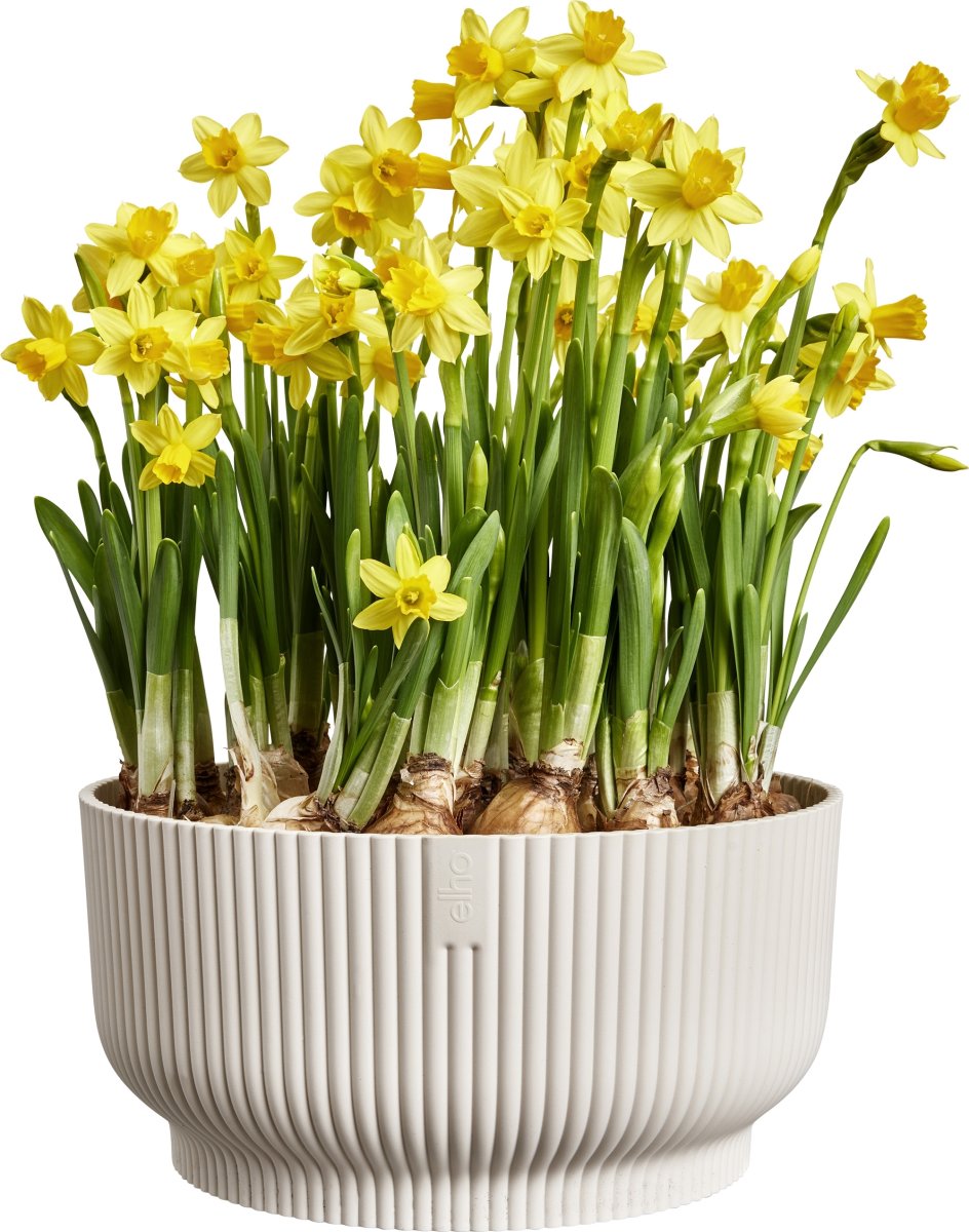 Elho Vibes Bowl Blomkruka, 25 cm, linen white