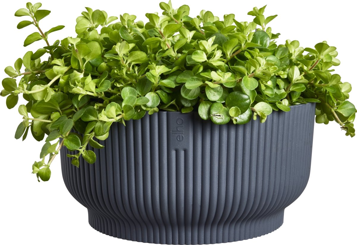 Elho Vibes Bowl Blomkruka, 25 cm, anthracite