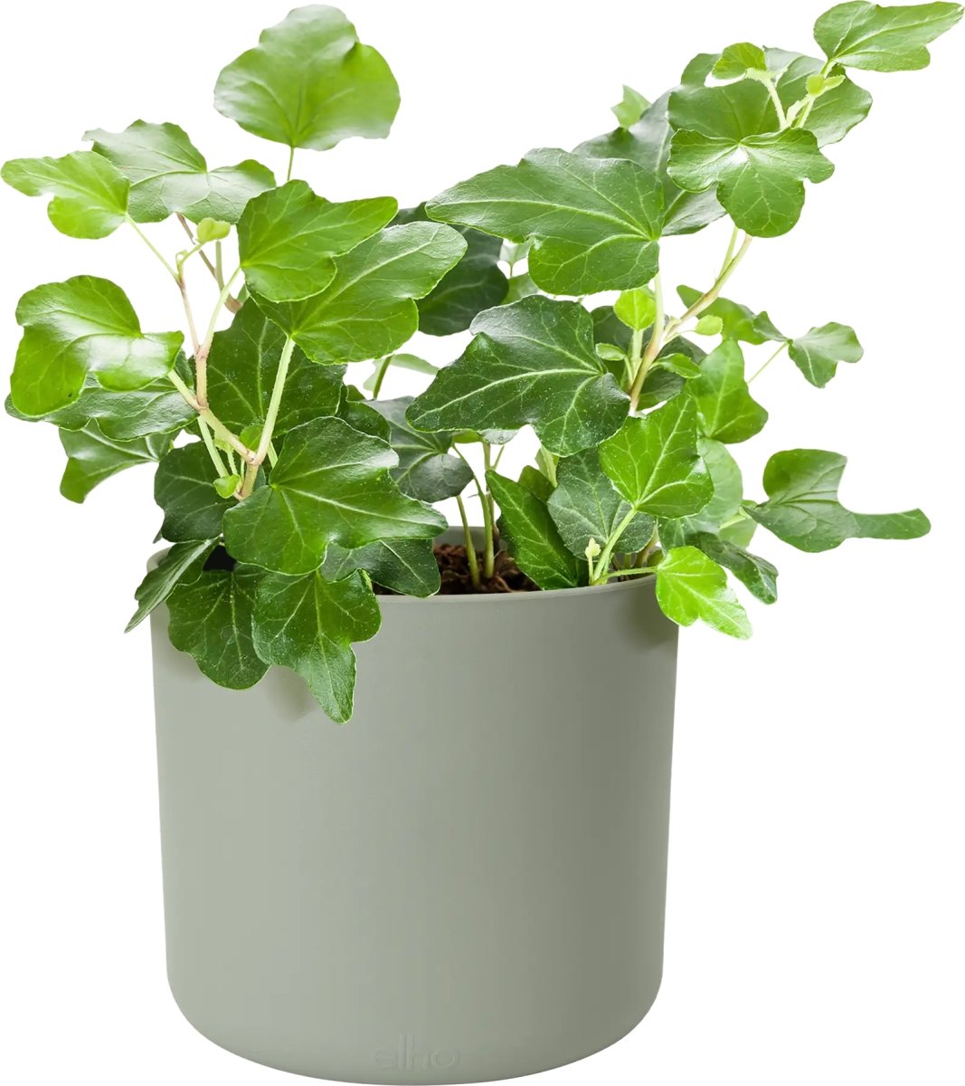 Elho B.for Soft Blomkruka, 16 cm, stone green