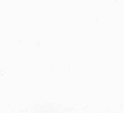 Servett DUNI 1-lags 33x33cm vit 500/fp