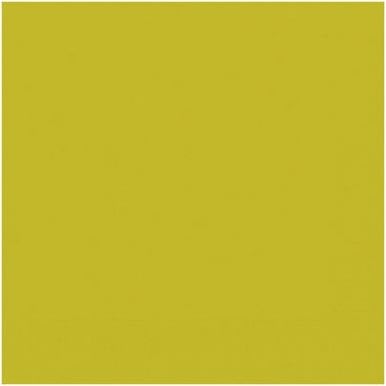 Servett DUNI 1-lags 33x33cm kiwi 500/fp