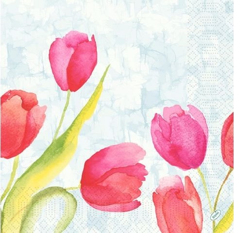 Servett Tulips 3-lags 40X40cm 250/fp