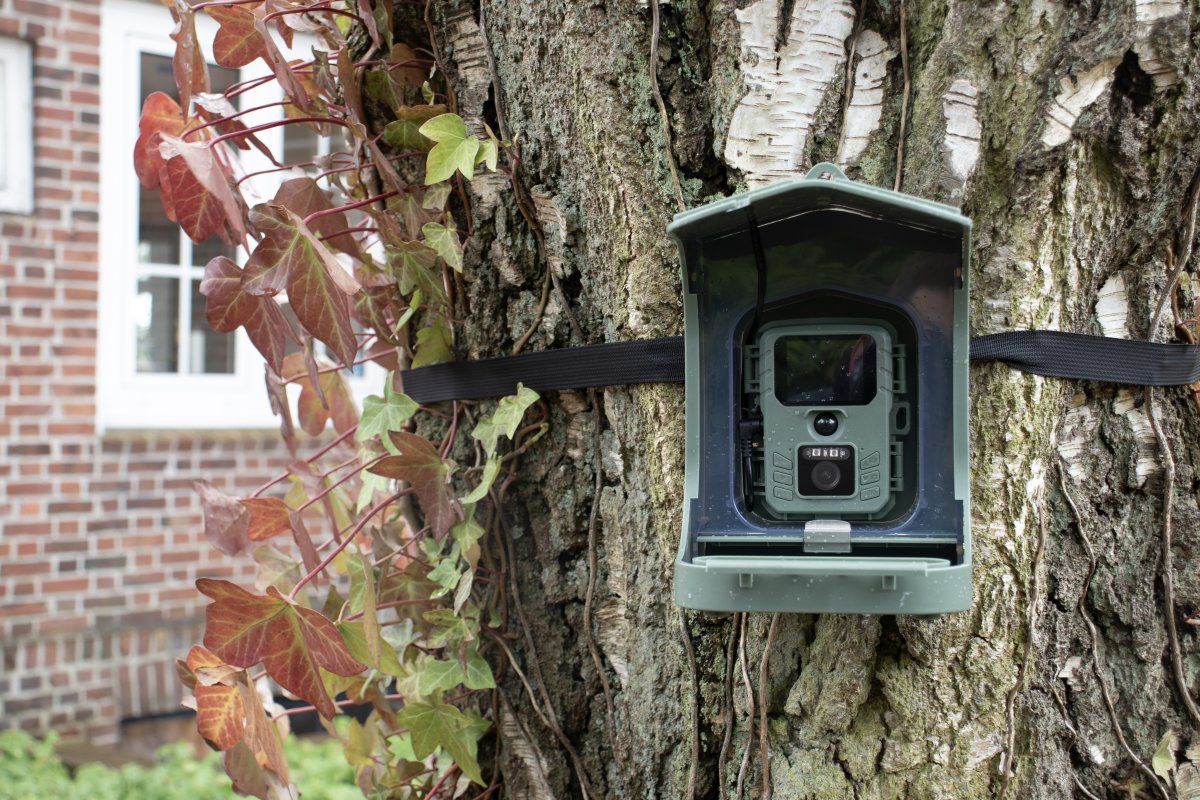 CapableX Fågelbräda med kamera