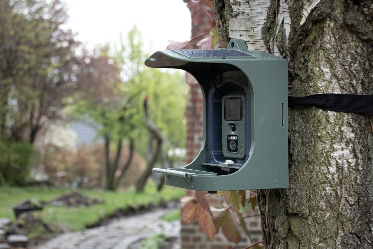 CapableX Fågelbräda med kamera