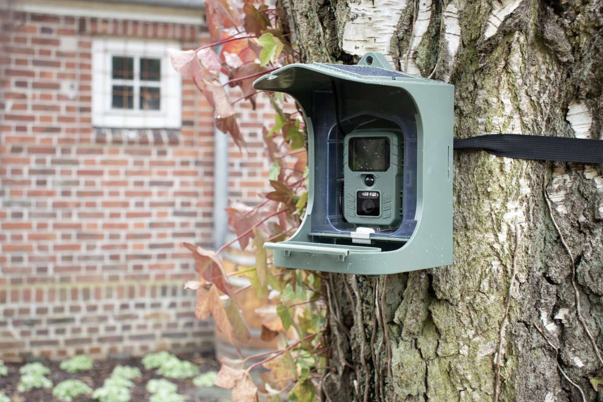 CapableX Fågelbräda med kamera