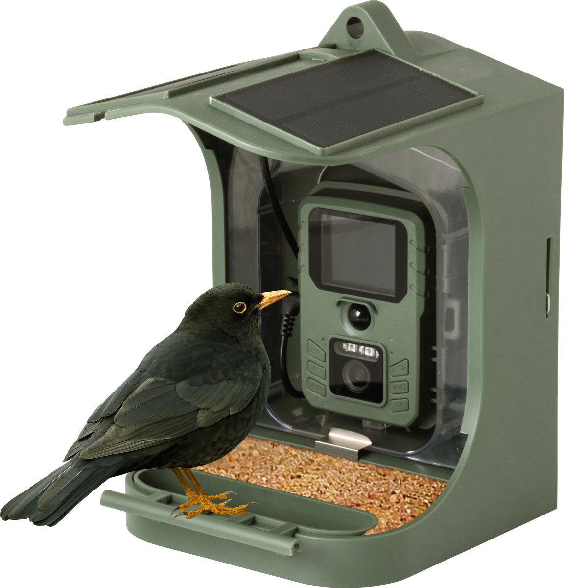 CapableX Fågelbräda med kamera