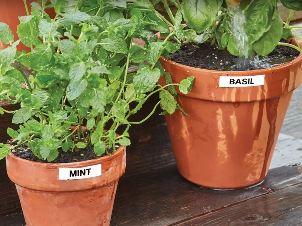 Dymo D1 polyestertape, 19 mm, svart på vit