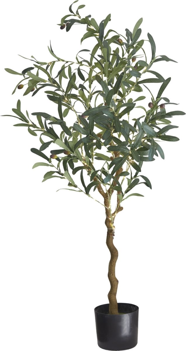 Sirius Oliva Olivträd, inkl. LED-ljus, H120 cm