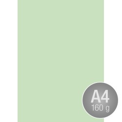 Image Coloraction A4, 160g, 250ark, enggrøn