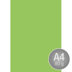 Image Coloraction A4 80 g | 500 ark | Ängsgrön