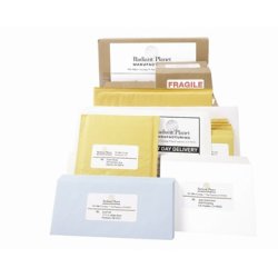 Avery LR7165-100 adressetiketter, 99,1 x 67,7 mm