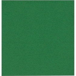 Pappersservett 2-lags 24x24 cm Grön 100 st