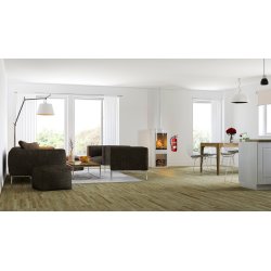 Housegard Pulverslukker 2 kg